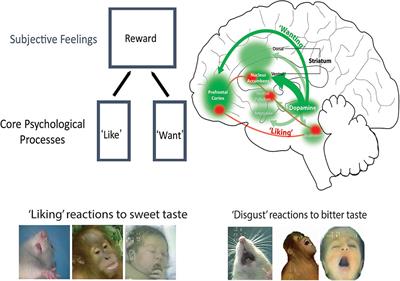 Evolving Concepts of Emotion and Motivation